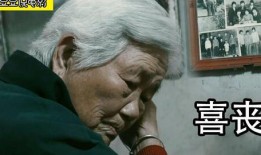 我看国产逼,探索中国电影新势力